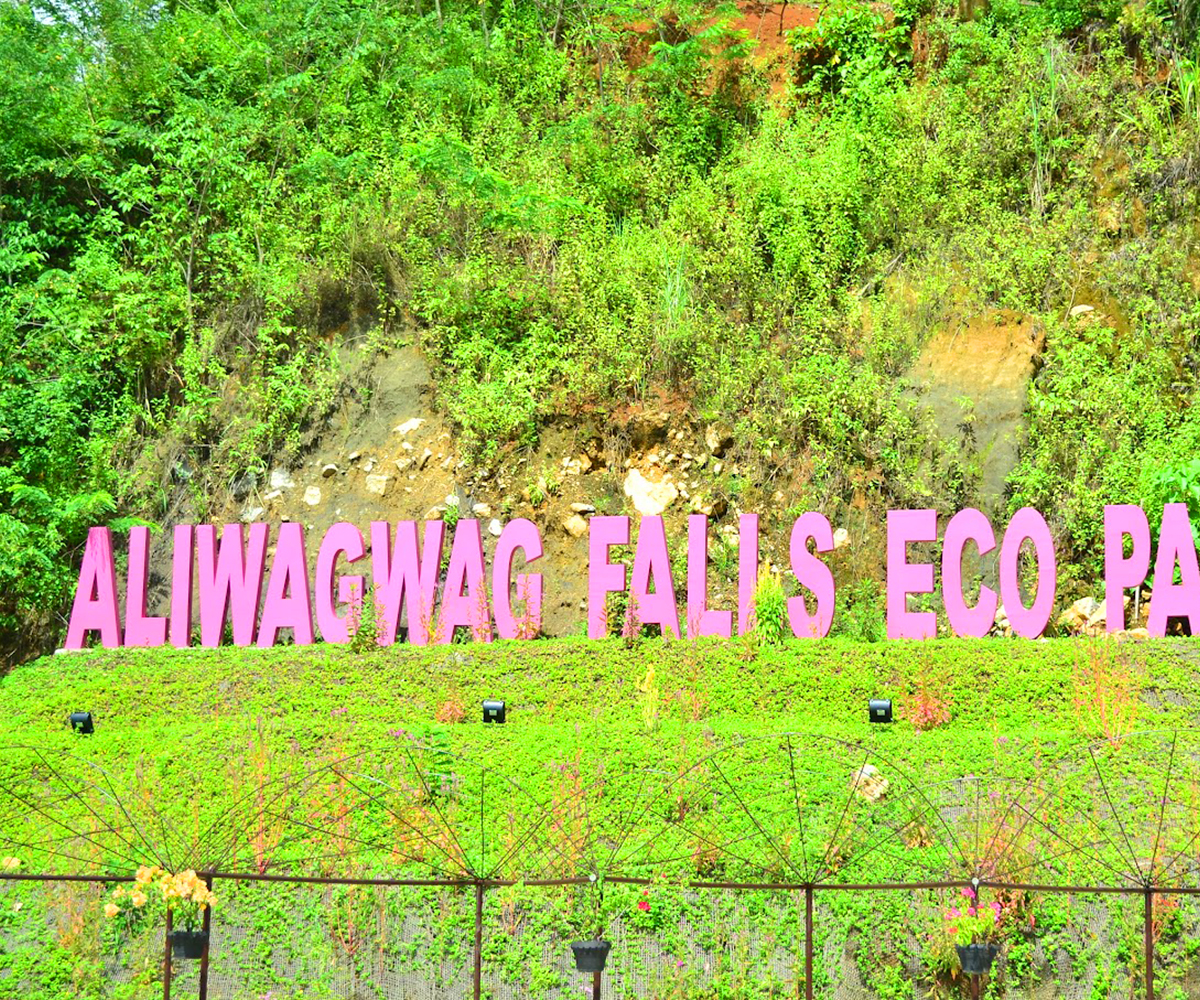 Aliwagwag Falls 06