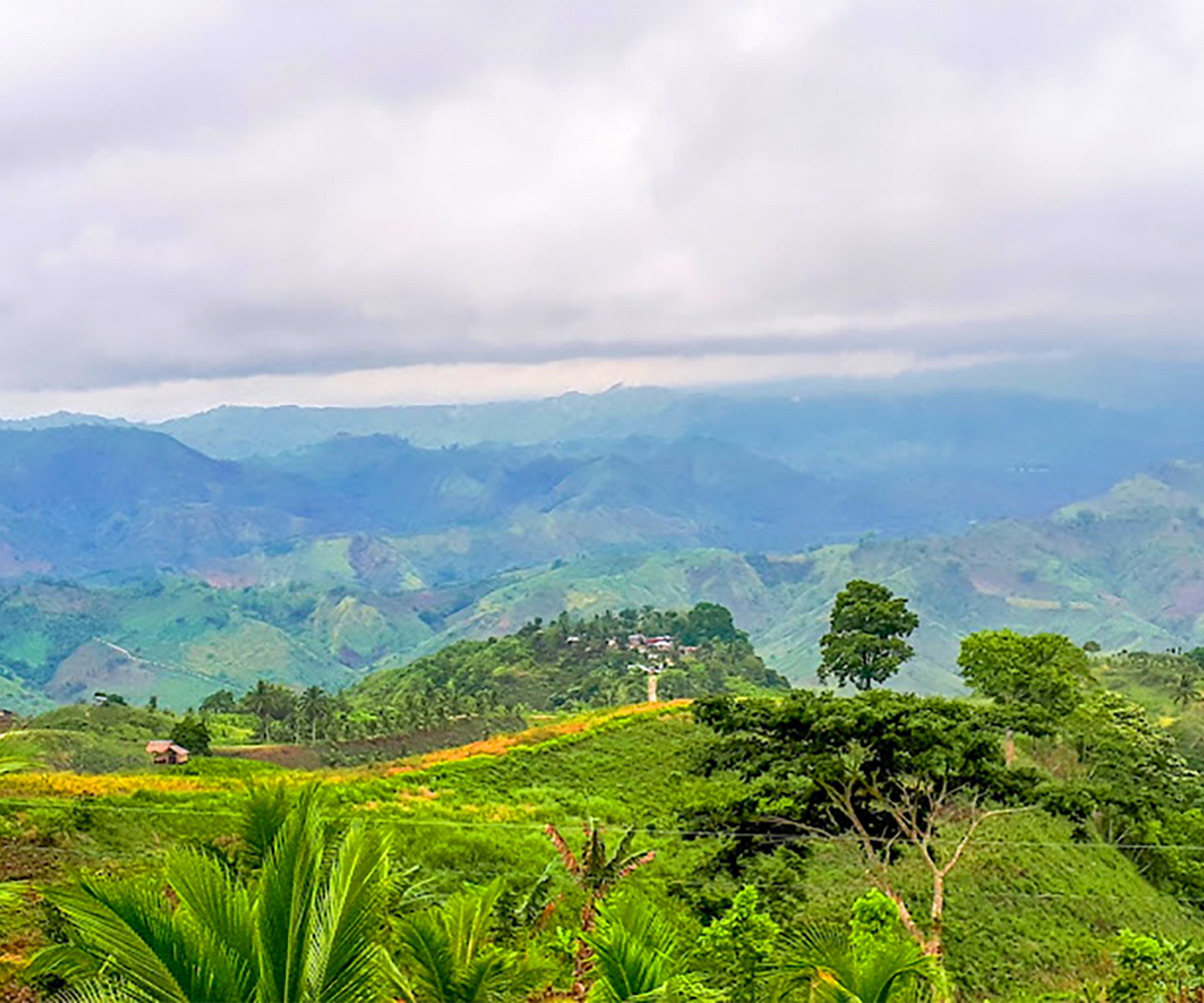 Kalon Barak Skyline Ridge 02